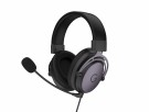 Yggdrasil 4-in-1 High-End Gaming Bundle - Yggdrasil X Pro Mus, X2 Musematte, Yggdrasil X Headset, Apex6 Tastatur thumbnail